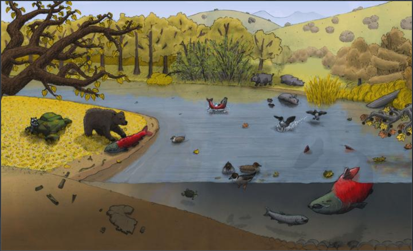 Painting of a bear standing over a 400 lb salmon