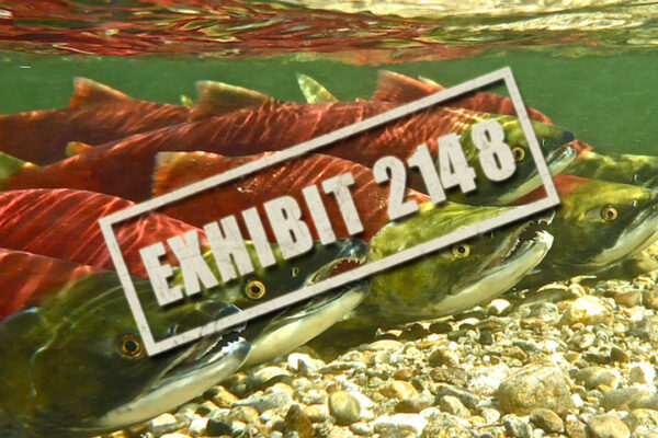 Banner underwater photograph with the title of the series Exhibit 2148 stamped over it.