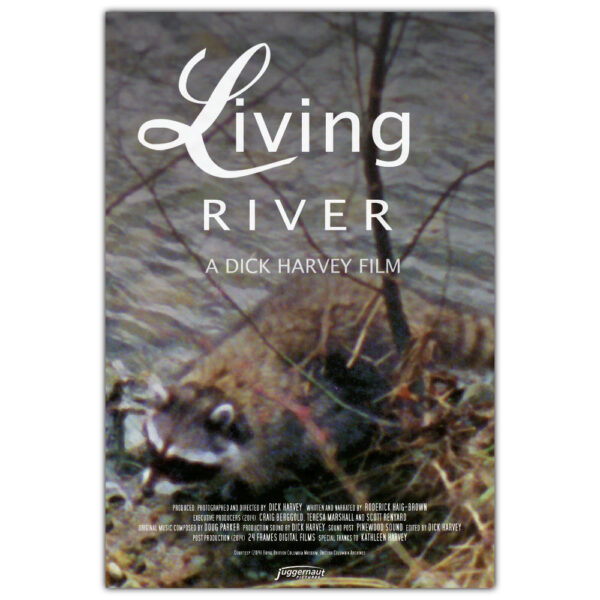 Movie poster for the film Living River