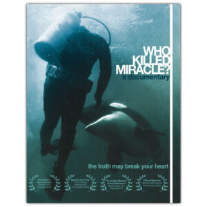 Movie poster for the film Who Killed Miracle