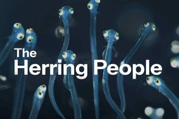 A title image for the movie, The Herring People, showing close-up images a herring fry.